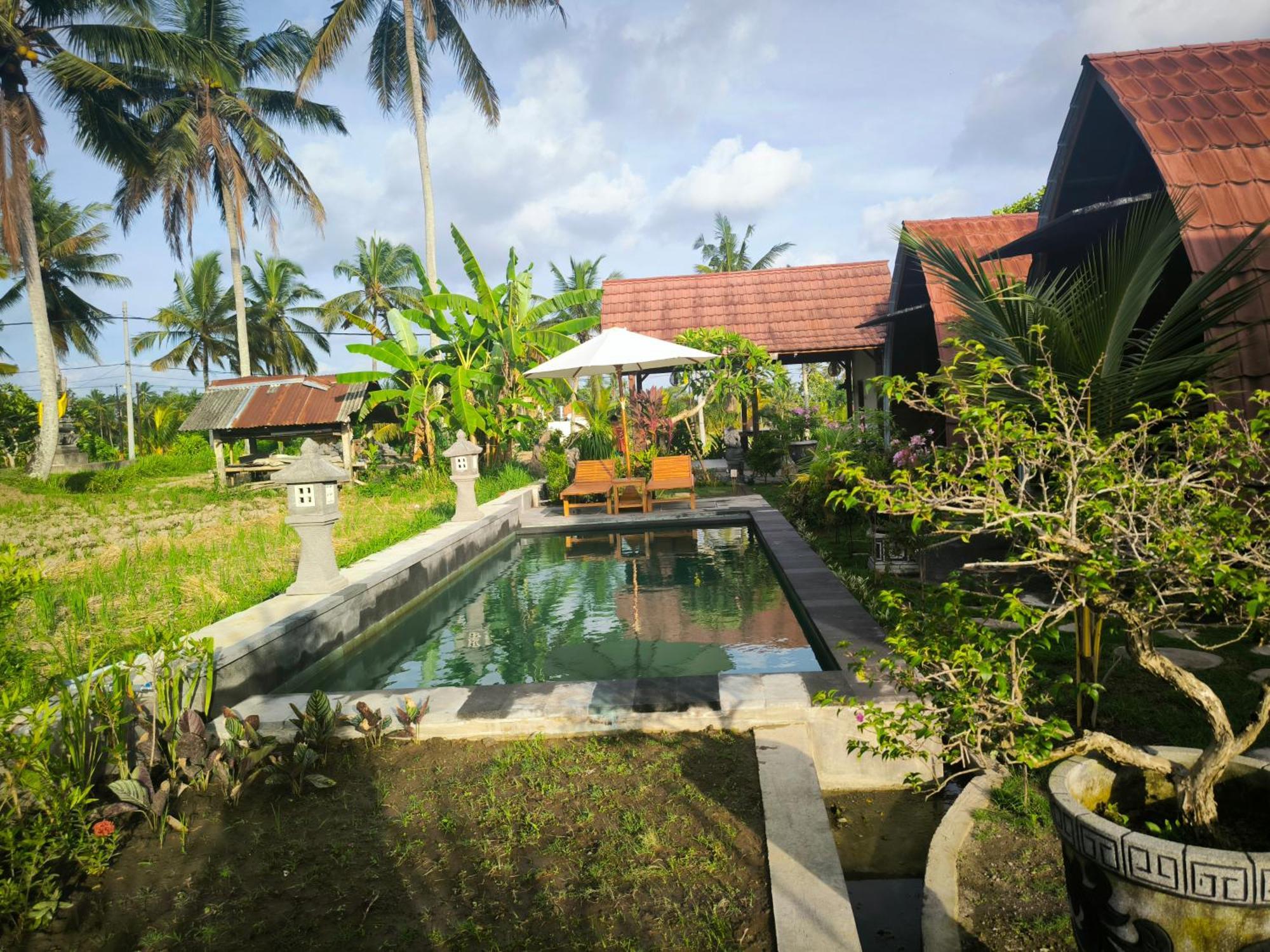 Eling Ubud Guesthouse Екстер'єр фото